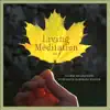 Living Meditation, Vol. 3: Guided Relaxations With David Harshada Wagner album lyrics, reviews, download