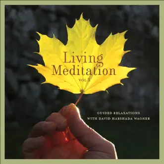 Living Meditation, Vol. 3: Guided Relaxations With David Harshada Wagner by Music for Deep Meditation album reviews, ratings, credits