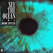 See The Ocean artwork