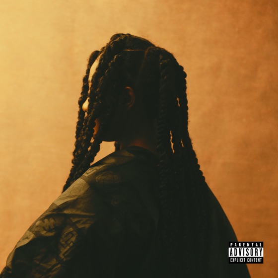 Cover artwork for Free Mind