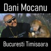 Bucuresti Timisoara - Single