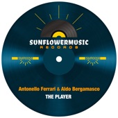 The Player (Ferrari & Bergamasco Club Mix) artwork