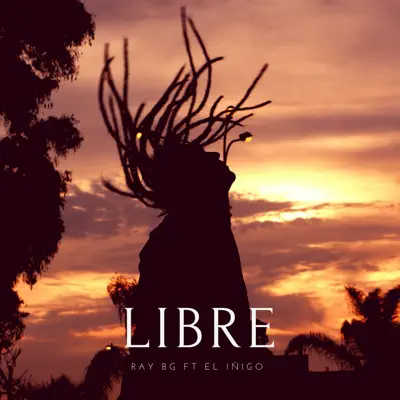 Libre (feat. El Iñigo) - Single - Ray BG