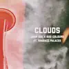Clouds (feat. Shabazz Palaces) - Single album lyrics, reviews, download