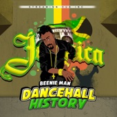 Dancehall History (Extended Mix ( Raw Version )) artwork