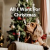 I'll Be Home For Christmas - Single Version by Bing Crosby iTunes Track 22