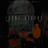 Ibong Adarna (feat. Gloc-9) artwork