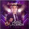 Menininha Meu Amor (feat. Luan Estilizado) - João Lacerda lyrics