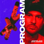 Program (feat. Donnie) artwork