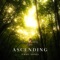 Ascending (Erhu Song) artwork