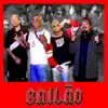 Bailão - Single album lyrics, reviews, download