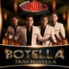Botella Tras Botella - Single