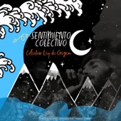 Sentimiento Colectivo (feat. David Kawooq, Lengualerta & Mama Gaia) artwork