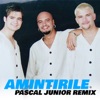 Amintirile - Single