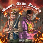 Slunce Seno Sudety artwork