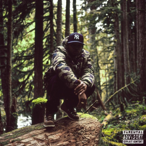 Cover artwork for N1go.