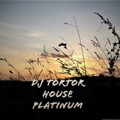 House Platinum artwork