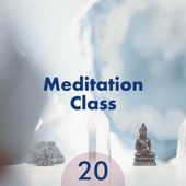 20 Instrumental Tracks for Meditation Class artwork