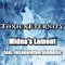 Midna's Lament (feat. Insaneintherainmusic) - ToxicxEternity lyrics