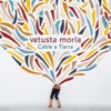 Puñalada Trapera by Vetusta Morla iTunes Track 1