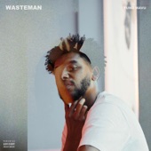 Wasteman artwork