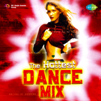 Various Artists - The Hottest Dance Mix artwork