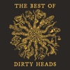 The Best of Dirty Heads artwork