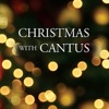 Christmas With Cantus, 2011