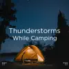 !!!" Thunderstorms While Camping "!!! album lyrics, reviews, download