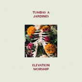 Tumbas A Jardines (Graves Into Gardens) (feat. Brandon Lake) by Elevation Worship