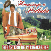 Destino - forastero de parinacochas