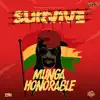 Stream & download Survive - Single