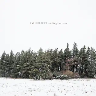 ladda ner album RM Hubbert - Telling the Trees