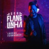 Seu Flanelinha - Single