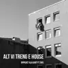 Alt vi treng e house (feat. DVS) - Single album lyrics, reviews, download