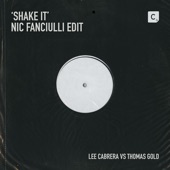 Shake It (Nic Fanciulli Edit - Radio Edit) artwork