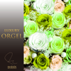 Miraie (Orgel) - Luxury Orgel