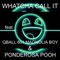 WHATCHA CALL IT (feat. QBALL & PONDEROSA POOH) - Mississippi Sno lyrics