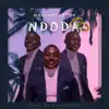 Ndoda - Single album lyrics, reviews, download