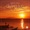 Martin Hiska - Diving Sun