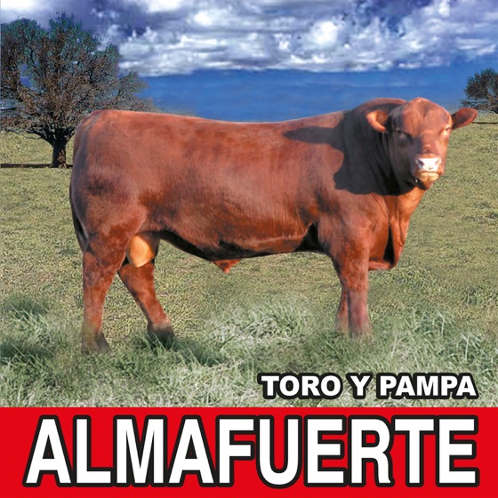 Cover artwork for Debes Saberlo