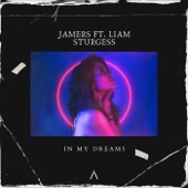 In My Dreams (feat. Liam Sturgess) artwork