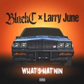 What's Hat'nin (feat. Larry June) artwork