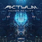 Higher Reality artwork