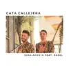 Stream & download Gata Callejera (feat. Rasel) - Single