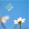 Flower Face - Shizuko Mori lyrics
