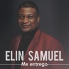 Elin Samuel - Fluye