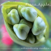 Fiona Apple - Extraordinary Machine