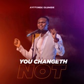 You Changeth Not artwork