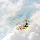 Paloma (Radio Edit) artwork